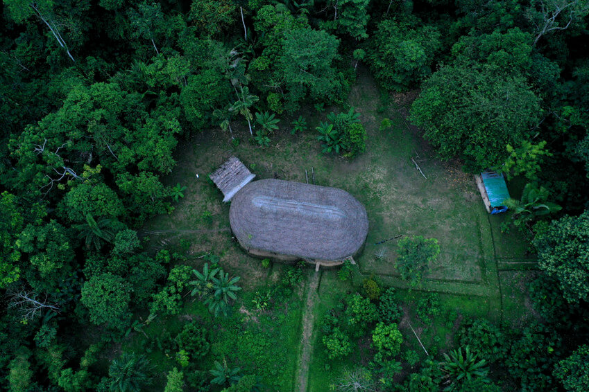 Imagen de la selva amazónica