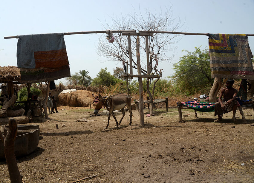 Algunas familias han creado "ventiladores impulsados por un burro"