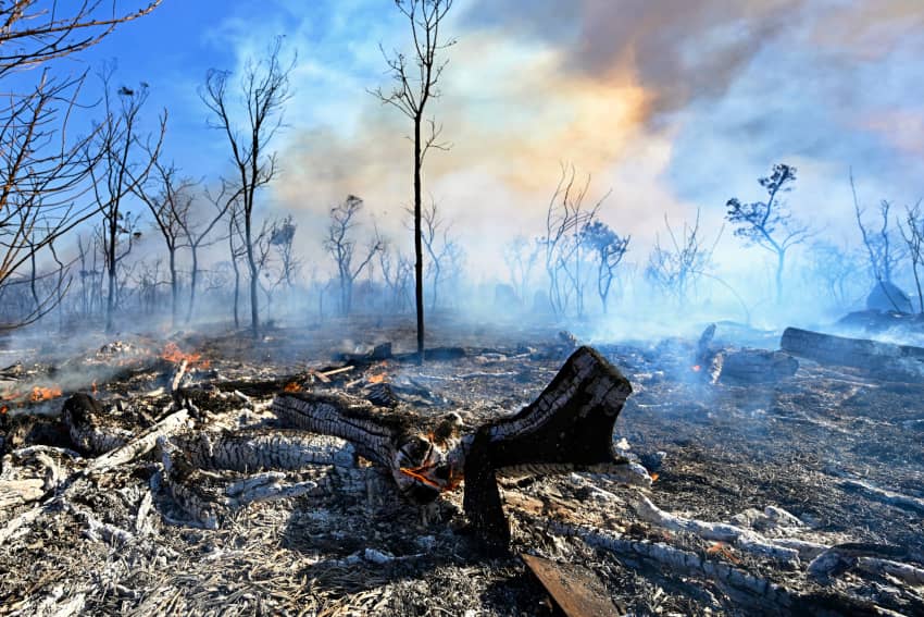 Árboles quemados y humo tras un incendio forestal en el Parque Nacional de Brasilia, Brasil.
