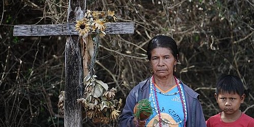 Impacto Social Y Epidemiológico Del Covid-19 En Los Pueblos Indígenas De México
