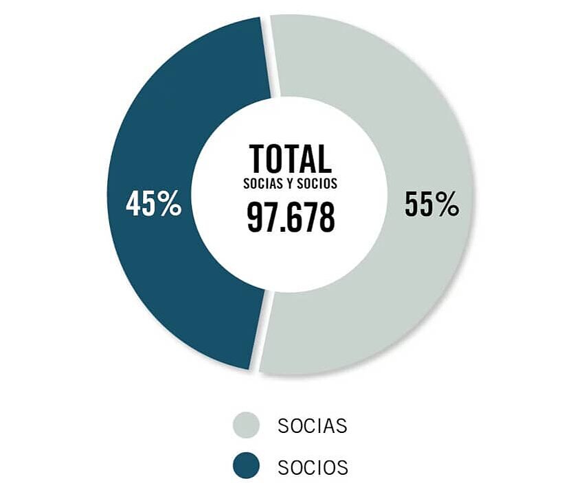 Gráfico circular: 55% socias, 45% socios