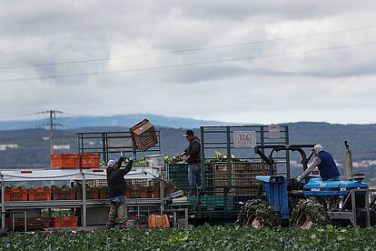 HEALTH-CORONAVIRUS/FARMWORKERS