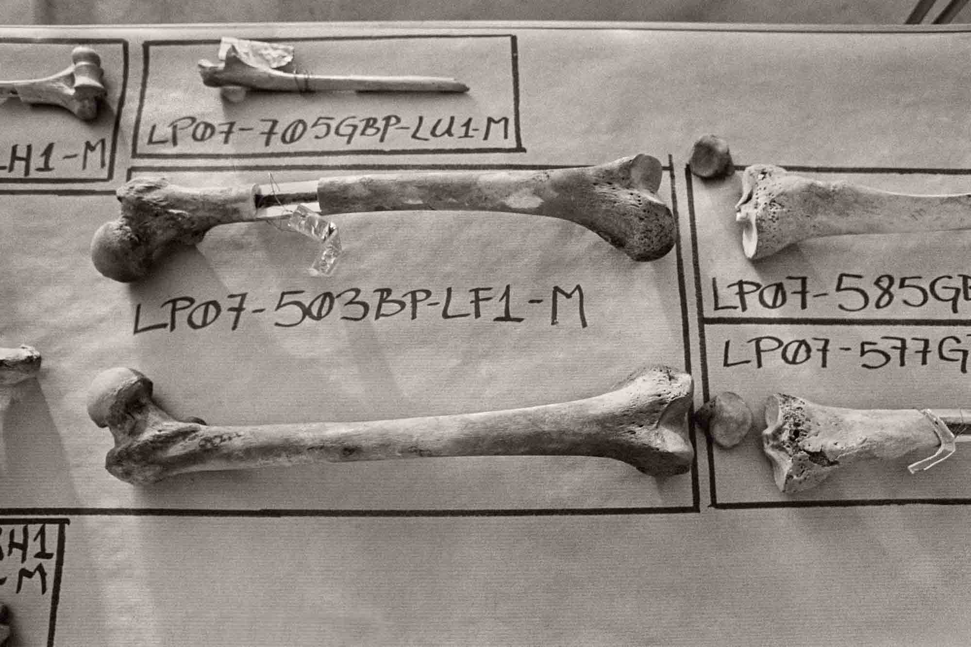 Restos de la matanza de Srebrenica