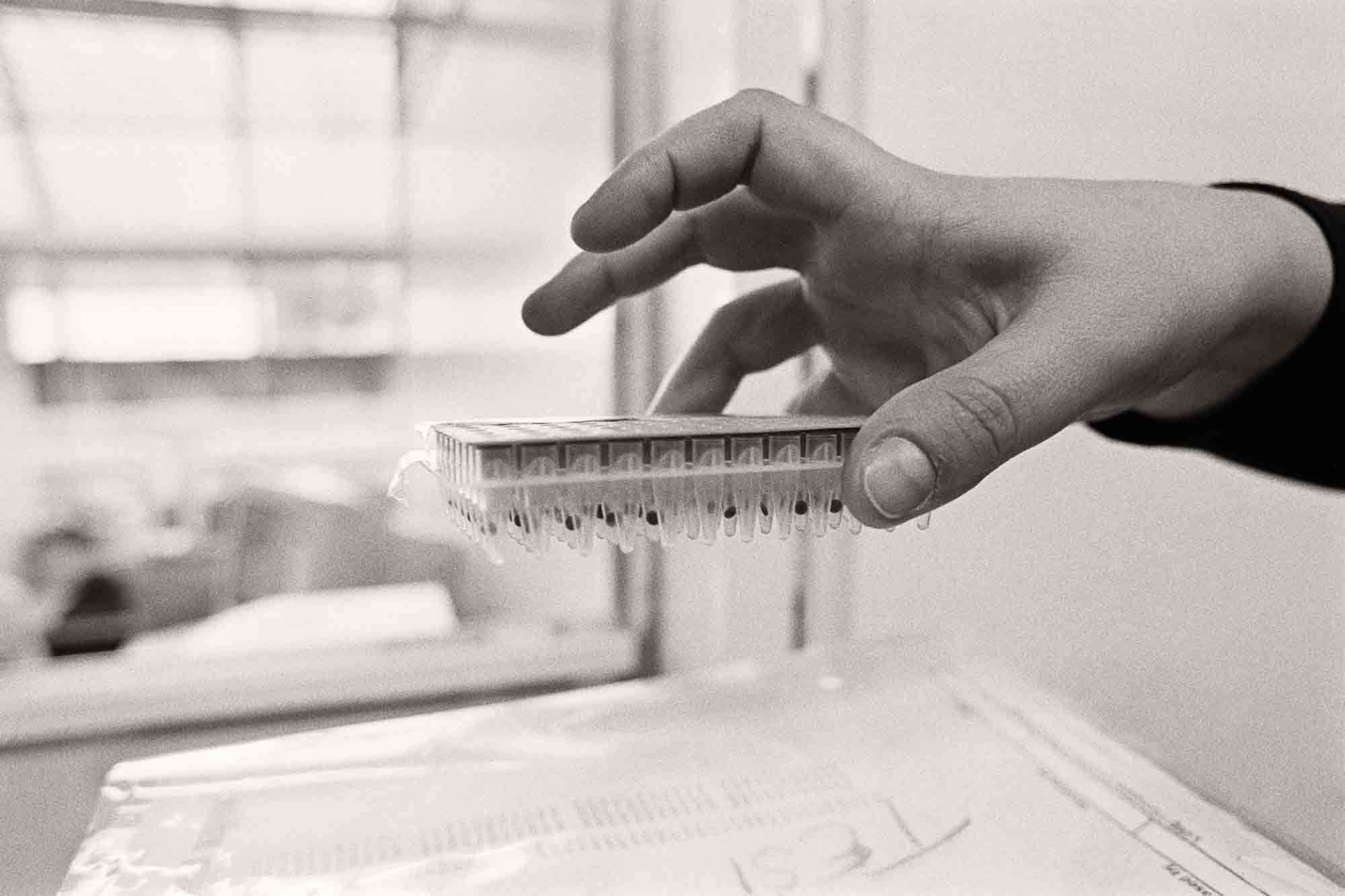 Víctimas de la matanza de Srebrenica