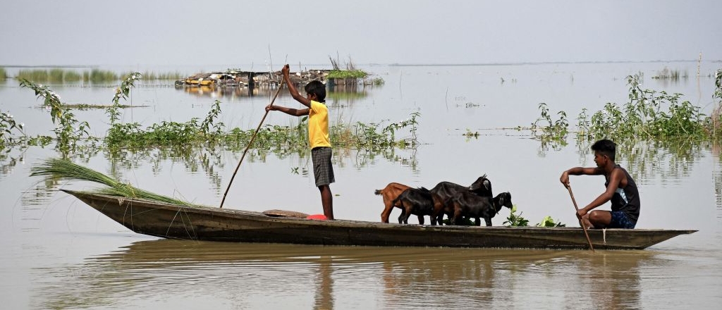 Dos niños con ganado en una barca tras las inundaciones en Assam, India, en agosto de 2023
