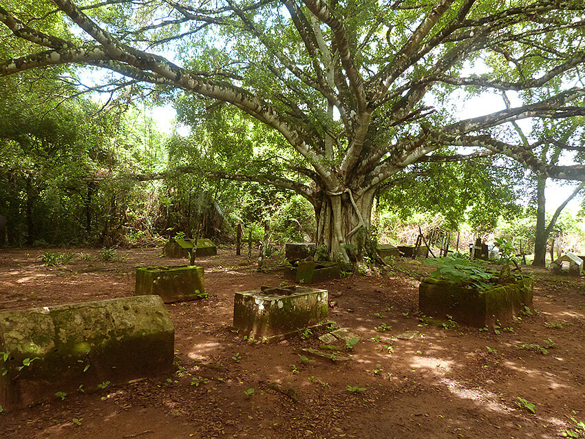 Imagen del cementerio en El Porvenir.