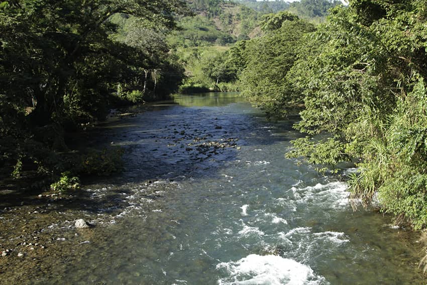 Los ríos son una fuente vital de agua