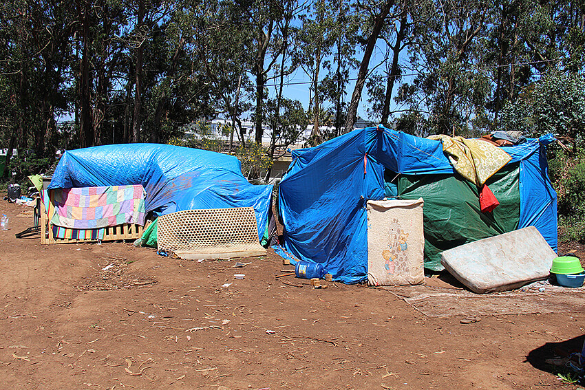 Campamento Las Raíces. 