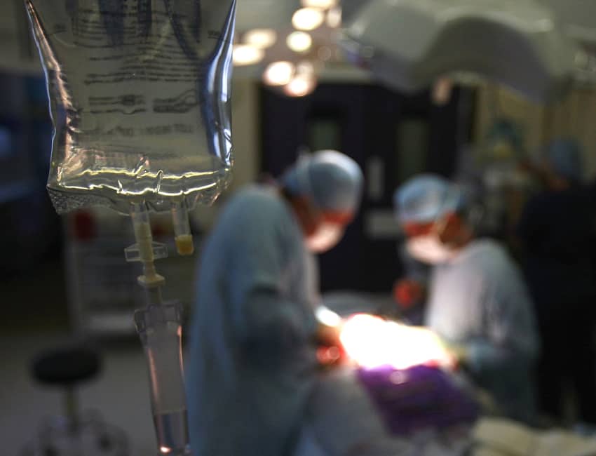 Visibilidad intersex