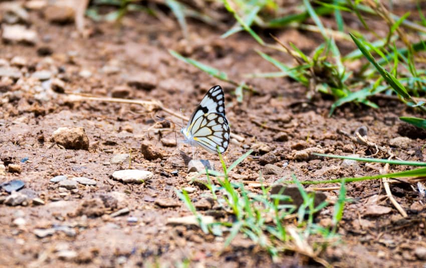 Reflexiones profundas sobre el cambio climático y sus consecuencias