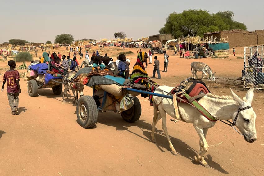 Familias sudanesas desplazadas llegan en carros tirados por burros a un campamento improvisado cerca de Tawila, en Darfur occidental, tras huir de los combates en el campo de Zamzam durante la guerra en Sudán.