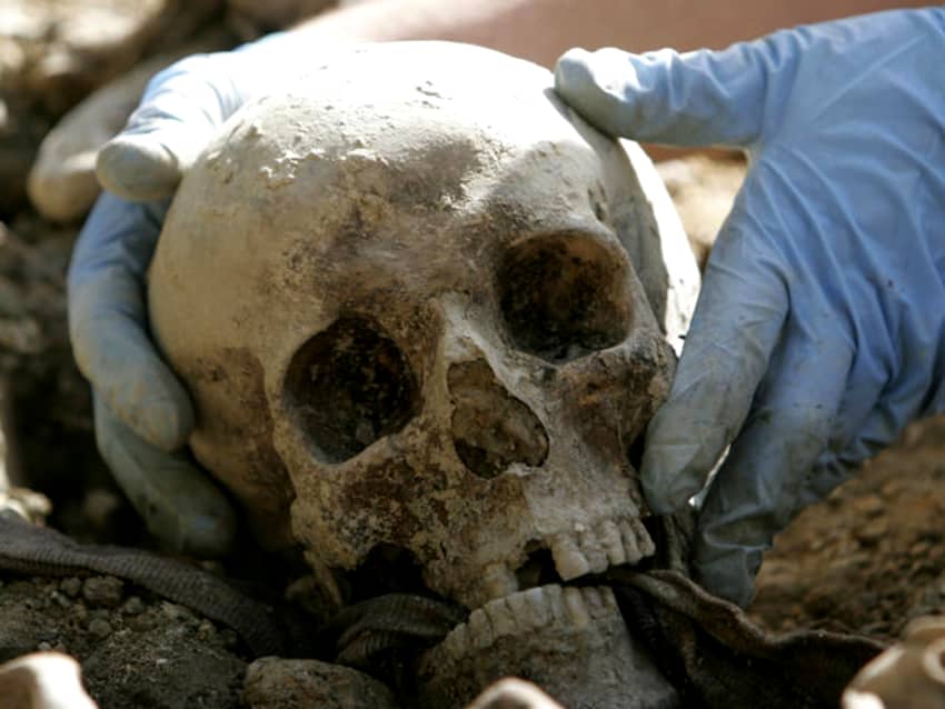 Cráneo recuperado en una fosa común tras el genocidio de Srebrenica de 1995